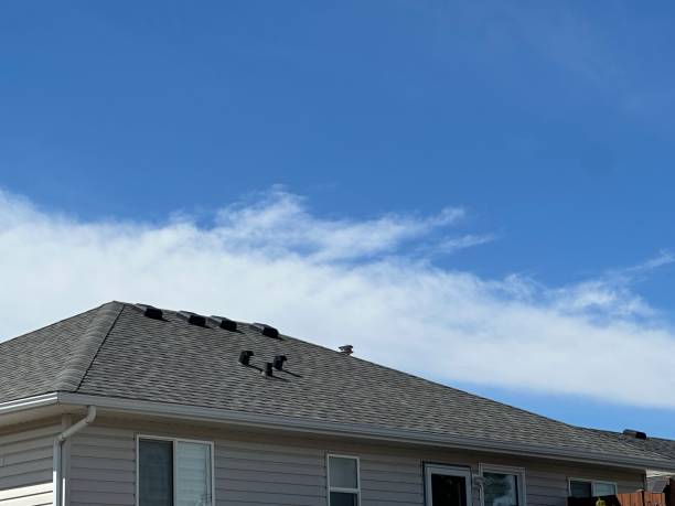 Roof Coating Services in Wildwood, MO